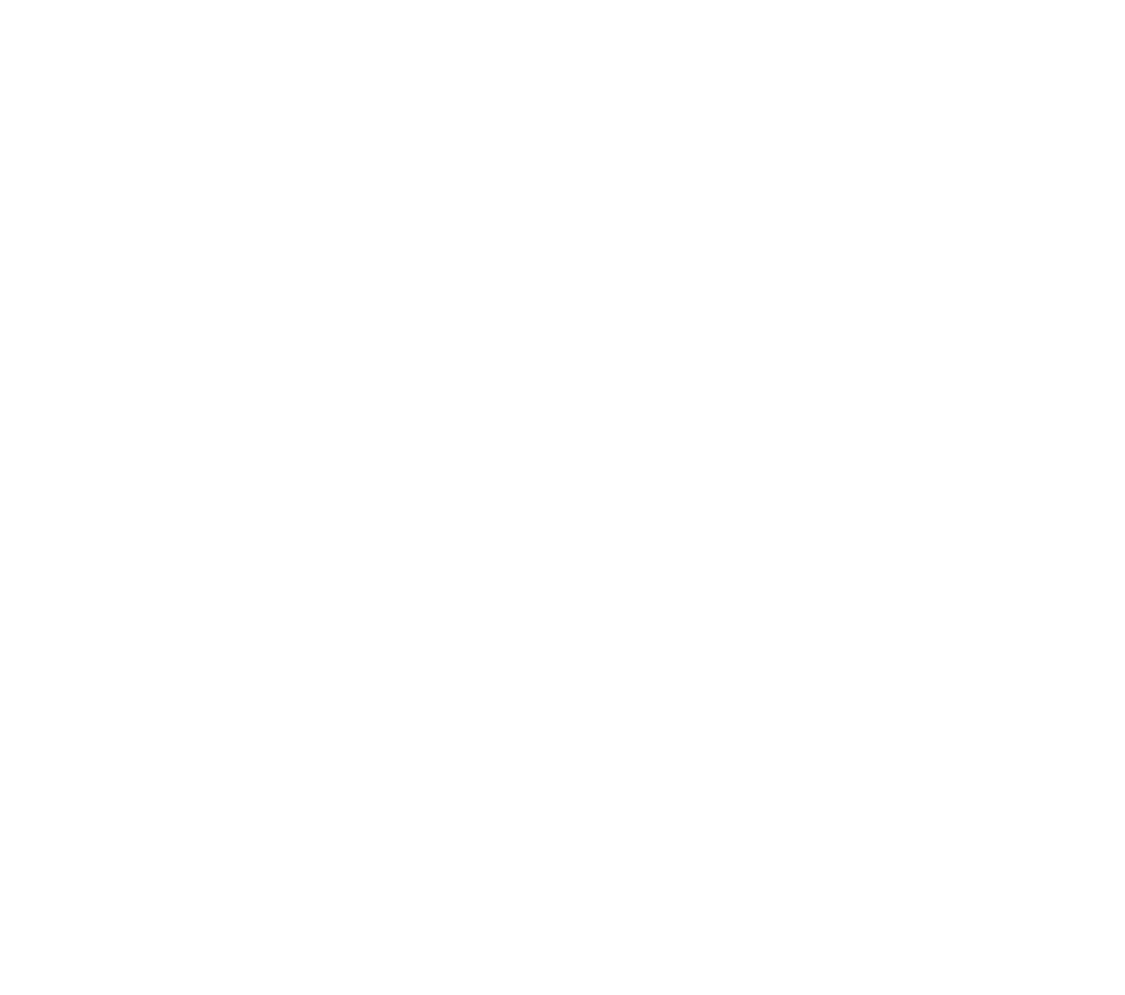 Magnificent Logo